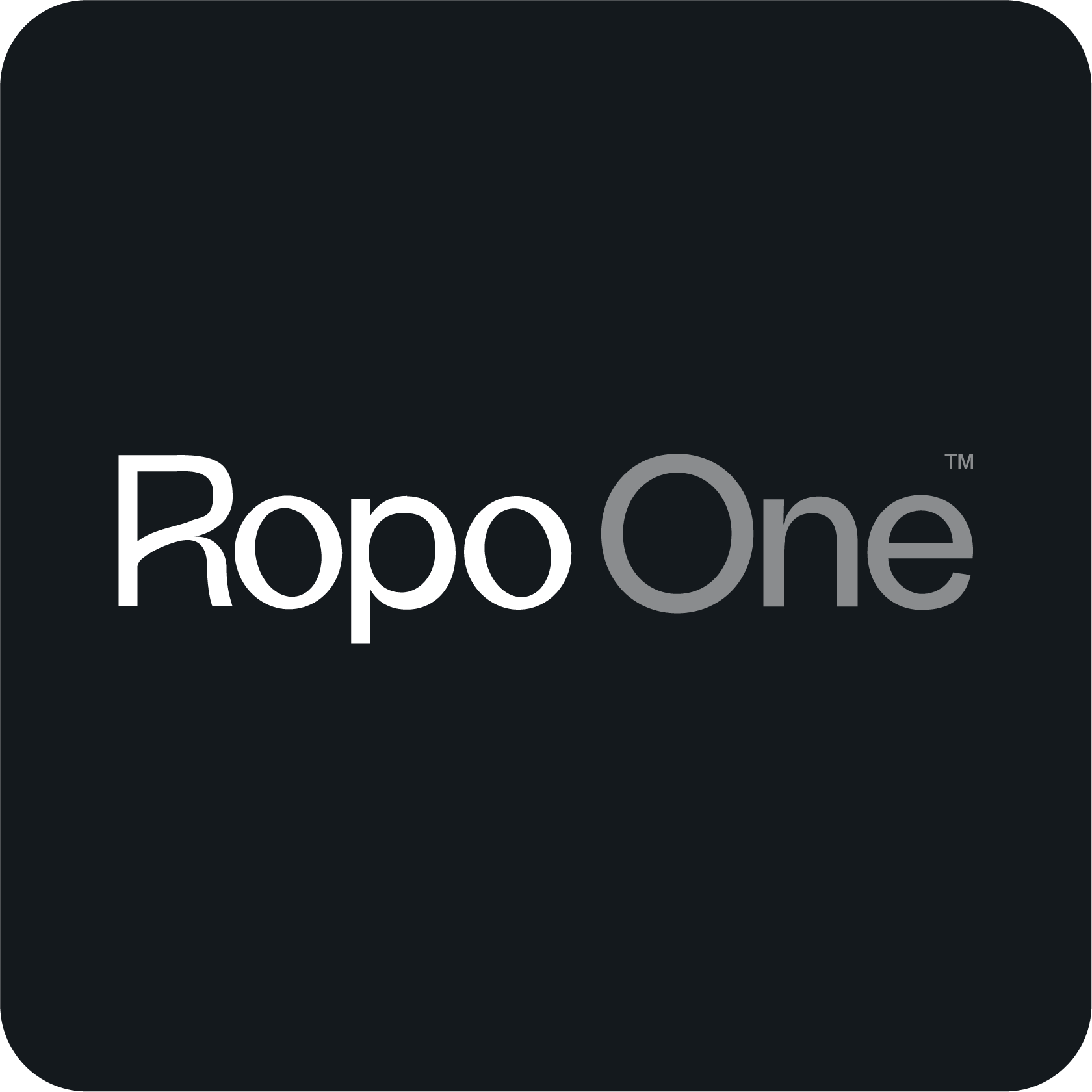 Ropo 24 | Ropo Capital